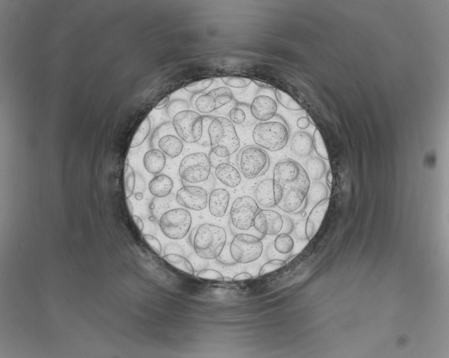 X0000116760466201001281615