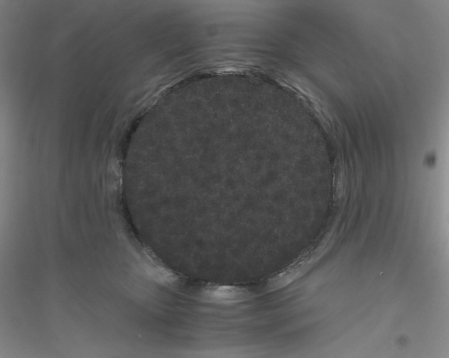 X0000116760467201001281615