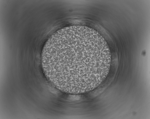 X0000116760469201001281615