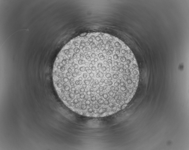 X0000116760470201001281615