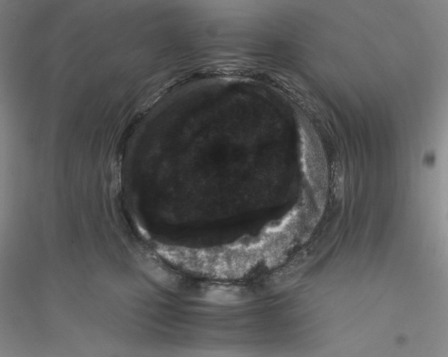 X0000116760471201001281615