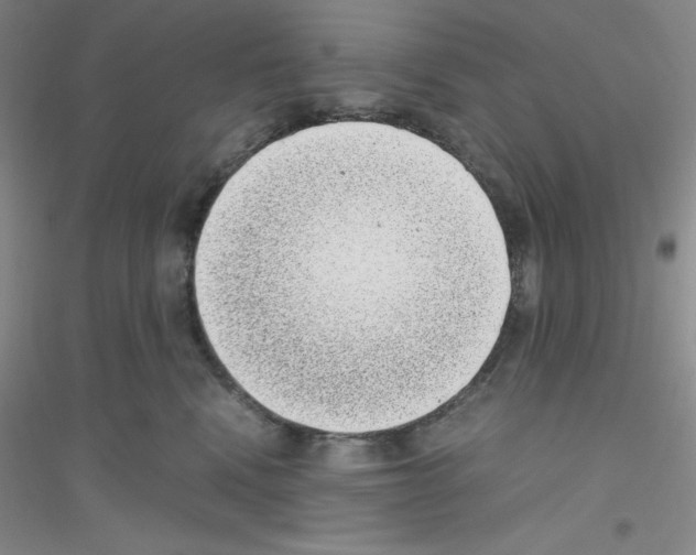 X0000116760472201001281615