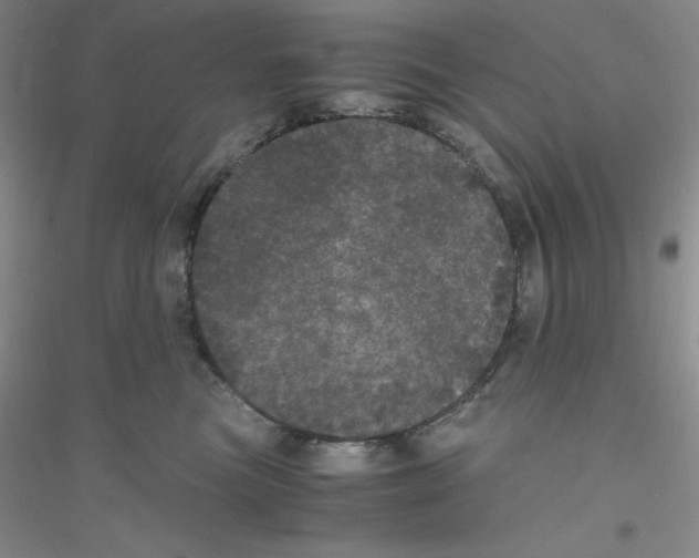 X0000116760473201001281615