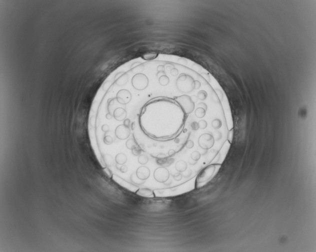 X0000116760474201001281615