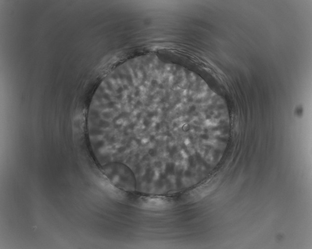 X0000116760475201001281615