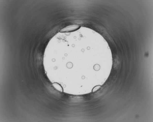 X0000116760476201001281615