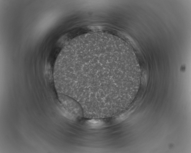 X0000116760477201001281616