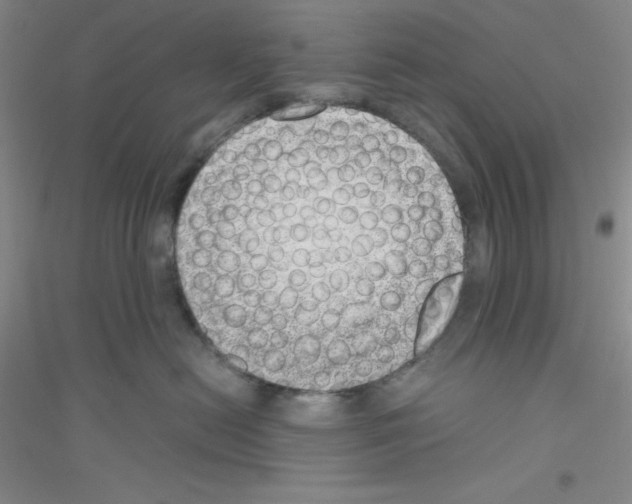 X0000116760478201001281616