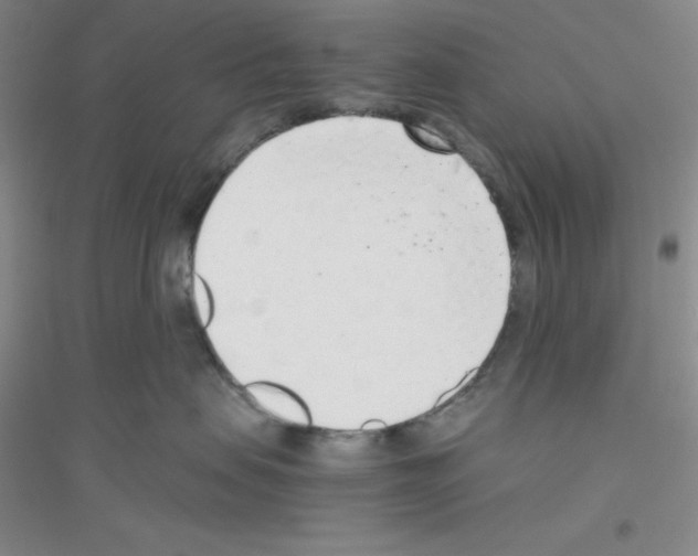 X0000116760479201001281616