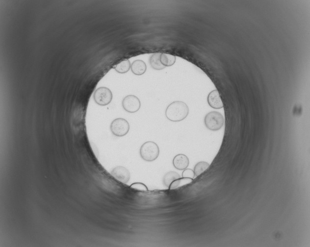 X0000116760480201001281616