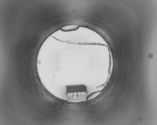 X0000116760481201001281615