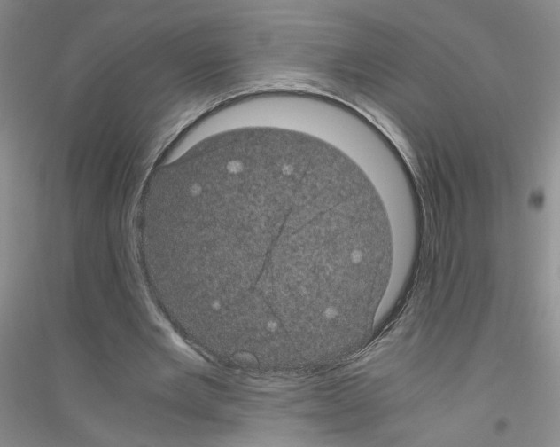 X0000116760485201001281615