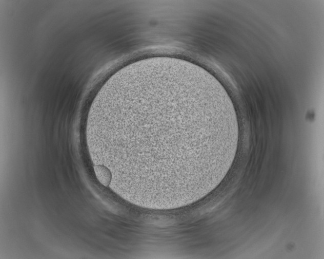 X0000116760486201001281615