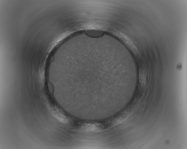 X0000116760488201001281615