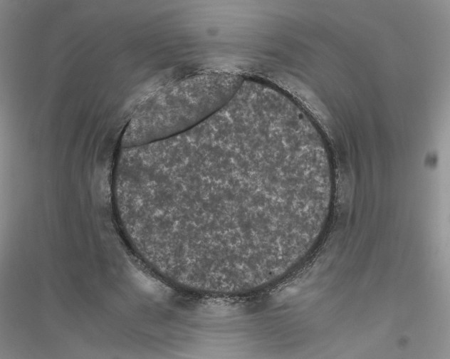 X0000116760489201001281615