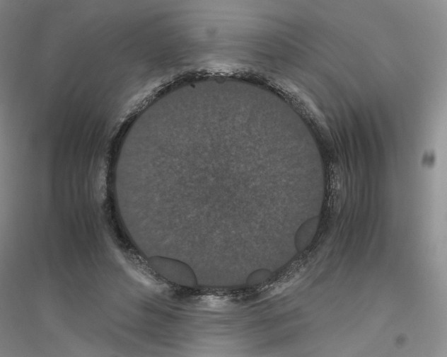 X0000116760496201001281615