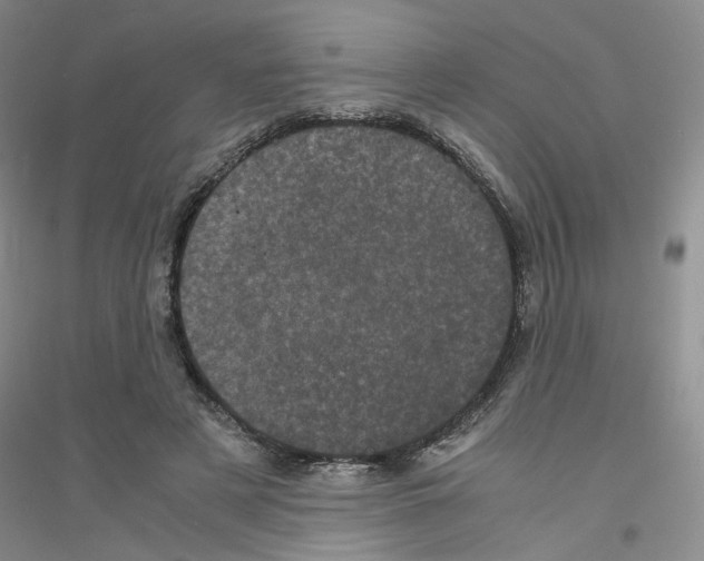 X0000116760497201001281615