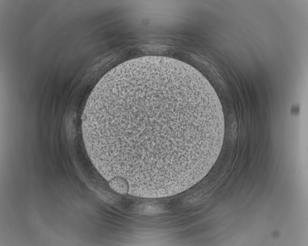 X0000116760498201001281615