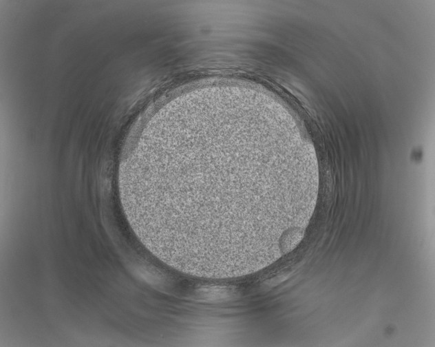 X0000116760499201001281615