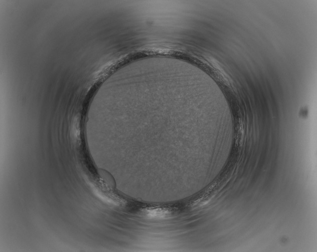 X0000116760500201001281615