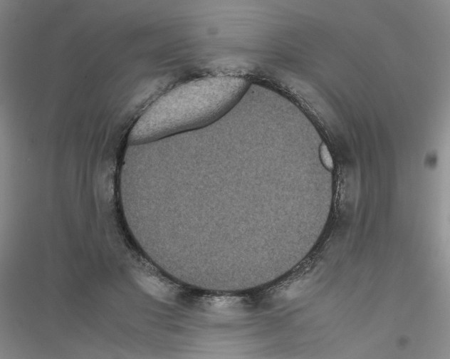 X0000116760501201001281615