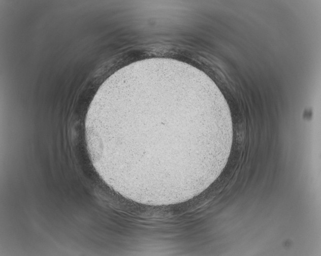 X0000116760503201001281615