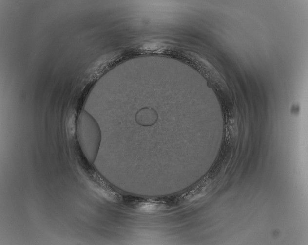 X0000116760504201001281615