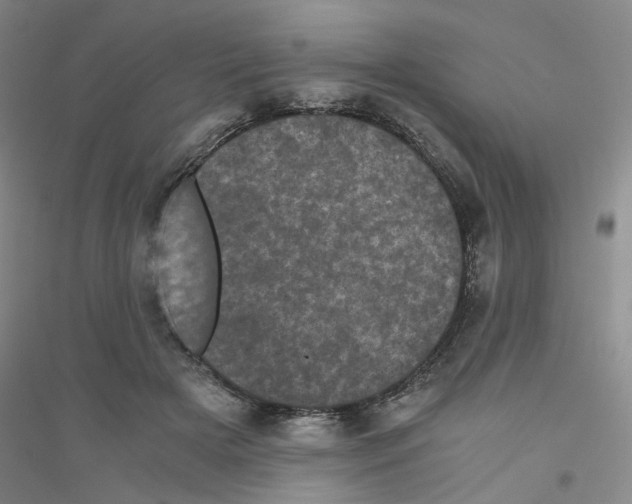 X0000116760505201001281615