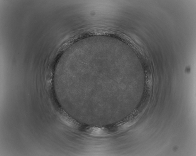 X0000116760507201001281615