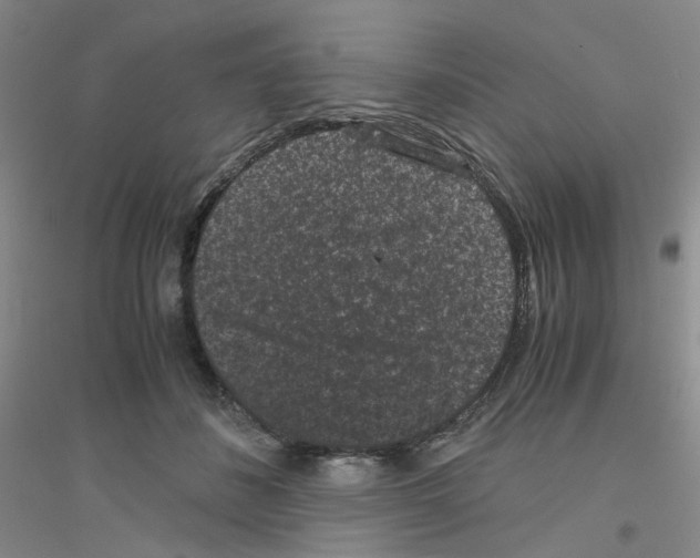 X0000116760508201001281615