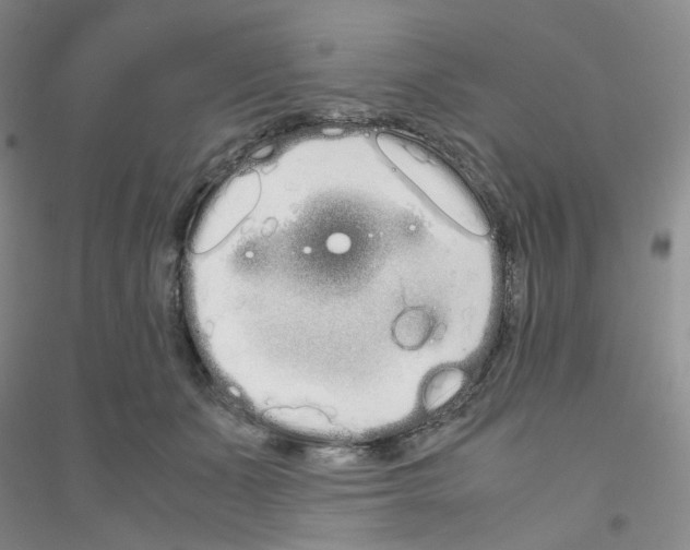 X0000116760511201001281614