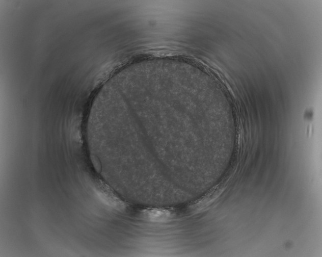 X0000116760512201001281614