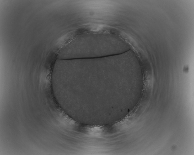 X0000116760513201001281614