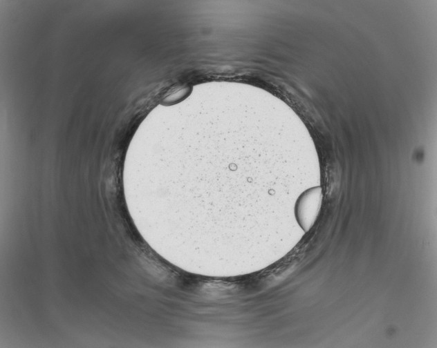 X0000116760515201001281614