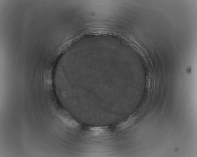 X0000116760516201001281614