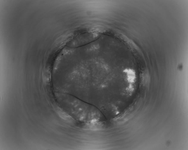 X0000116760517201001281614