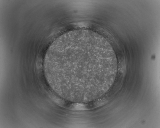 X0000116760518201001281614