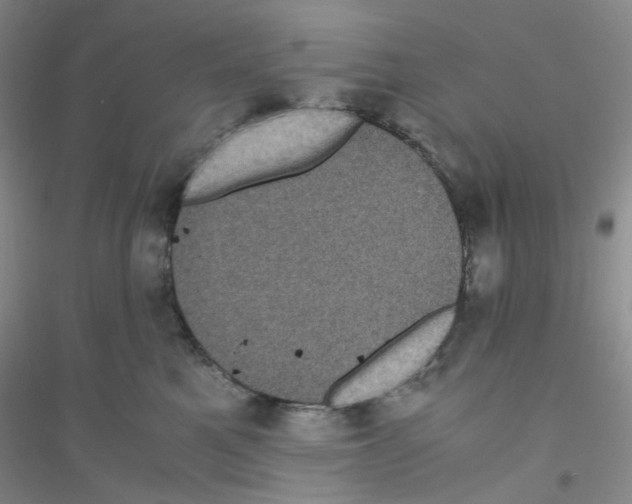 X0000116760521201001281614