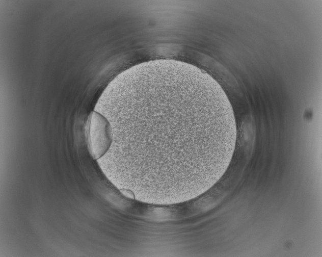 X0000116760522201001281614