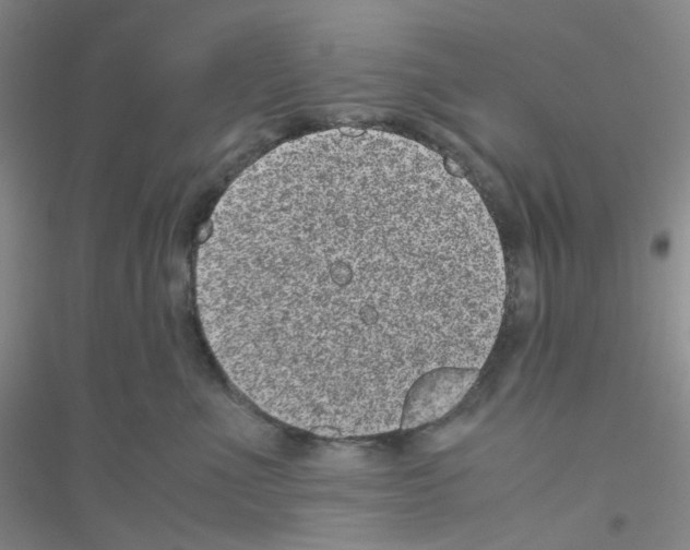 X0000116760523201001281614