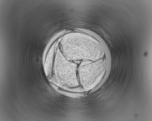 X0000116760524201001281614