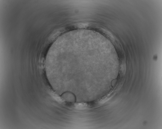 X0000116760525201001281614