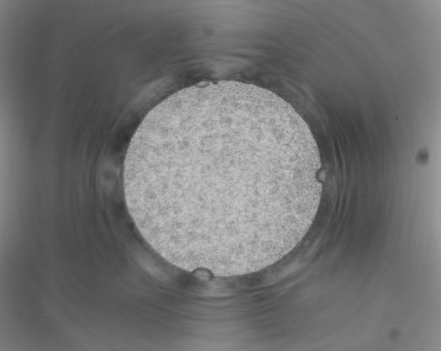 X0000116760527201001281614