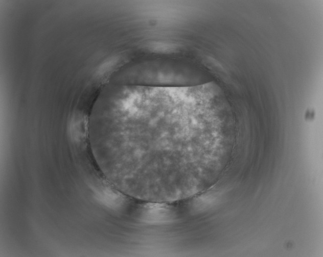 X0000116760528201001281614