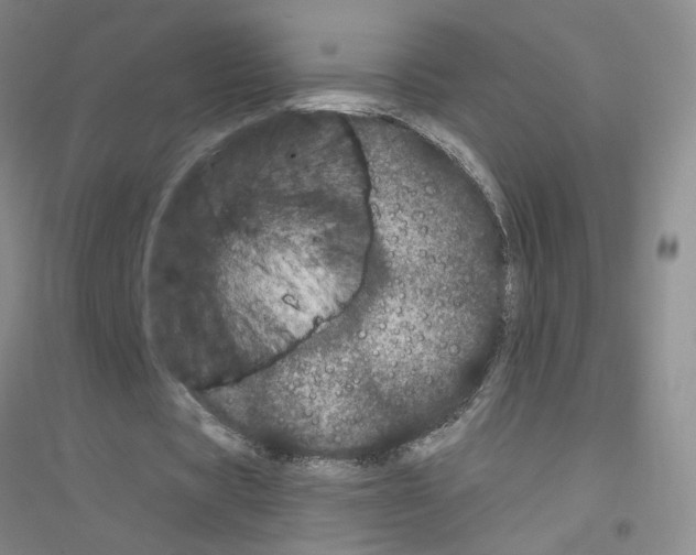 X0000116760529201001281614