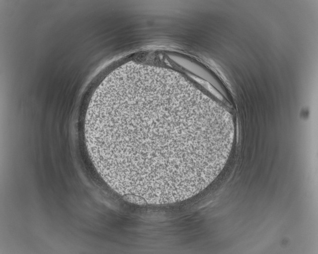 X0000116760531201001281614