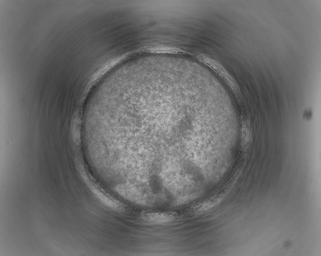 X0000116760533201001281614