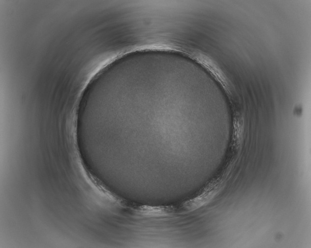 X0000116760534201001281614