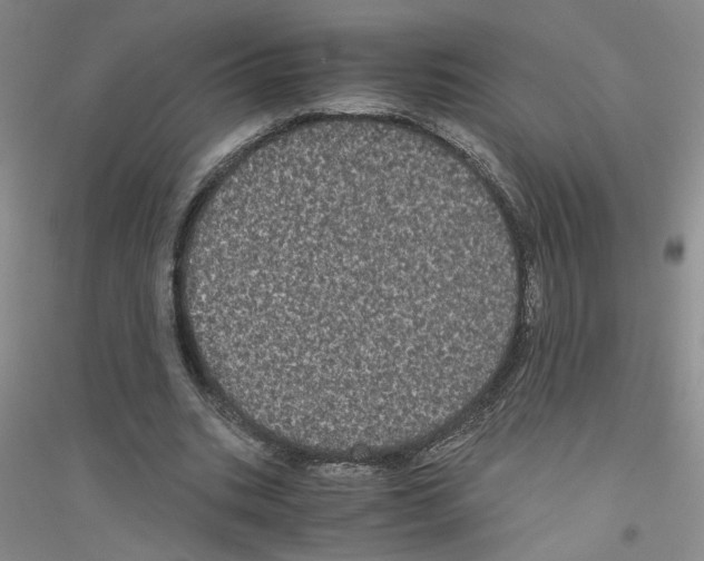 X0000116760535201001281614