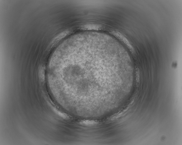 X0000116760537201001281614